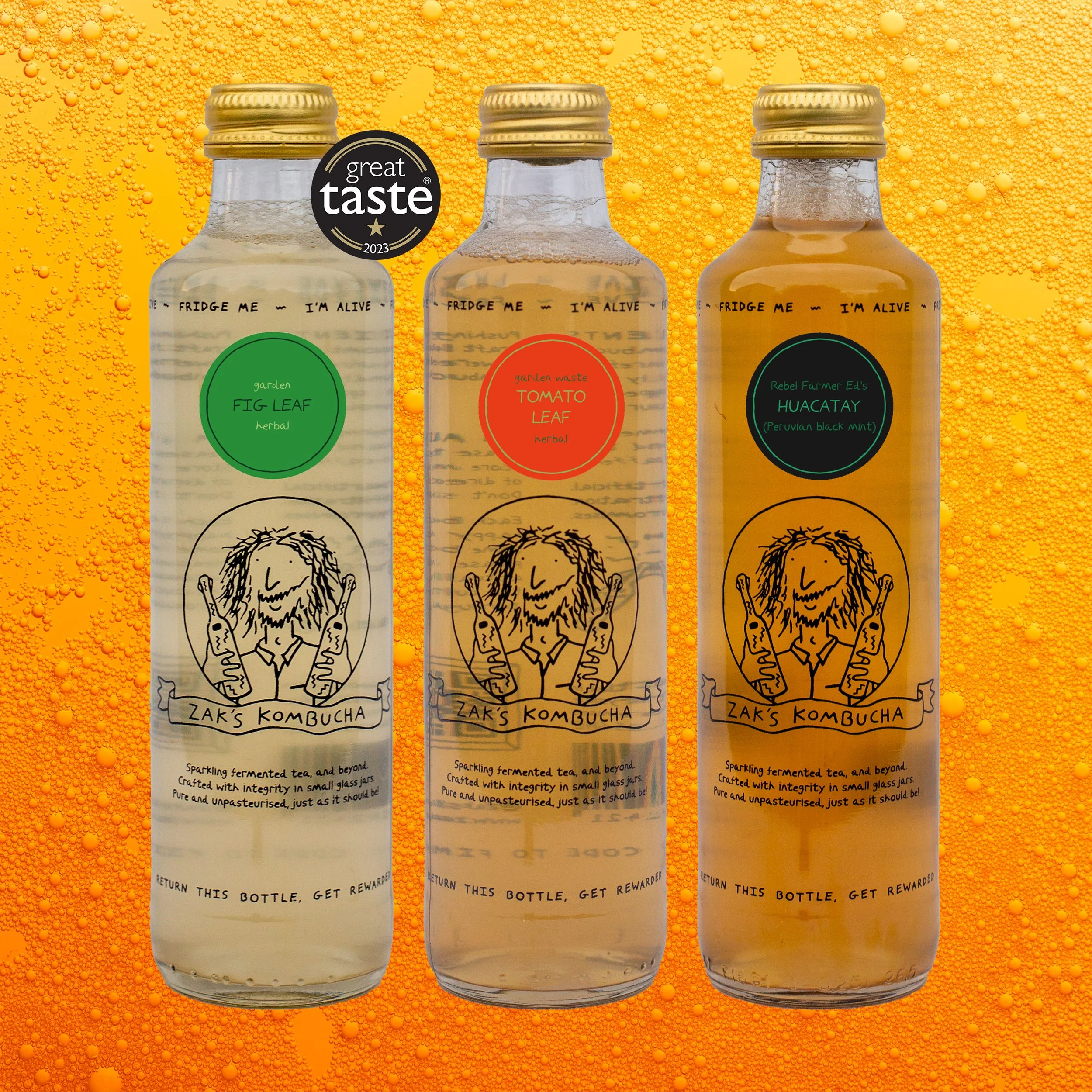 Case of Zak's Kombucha (250ml)