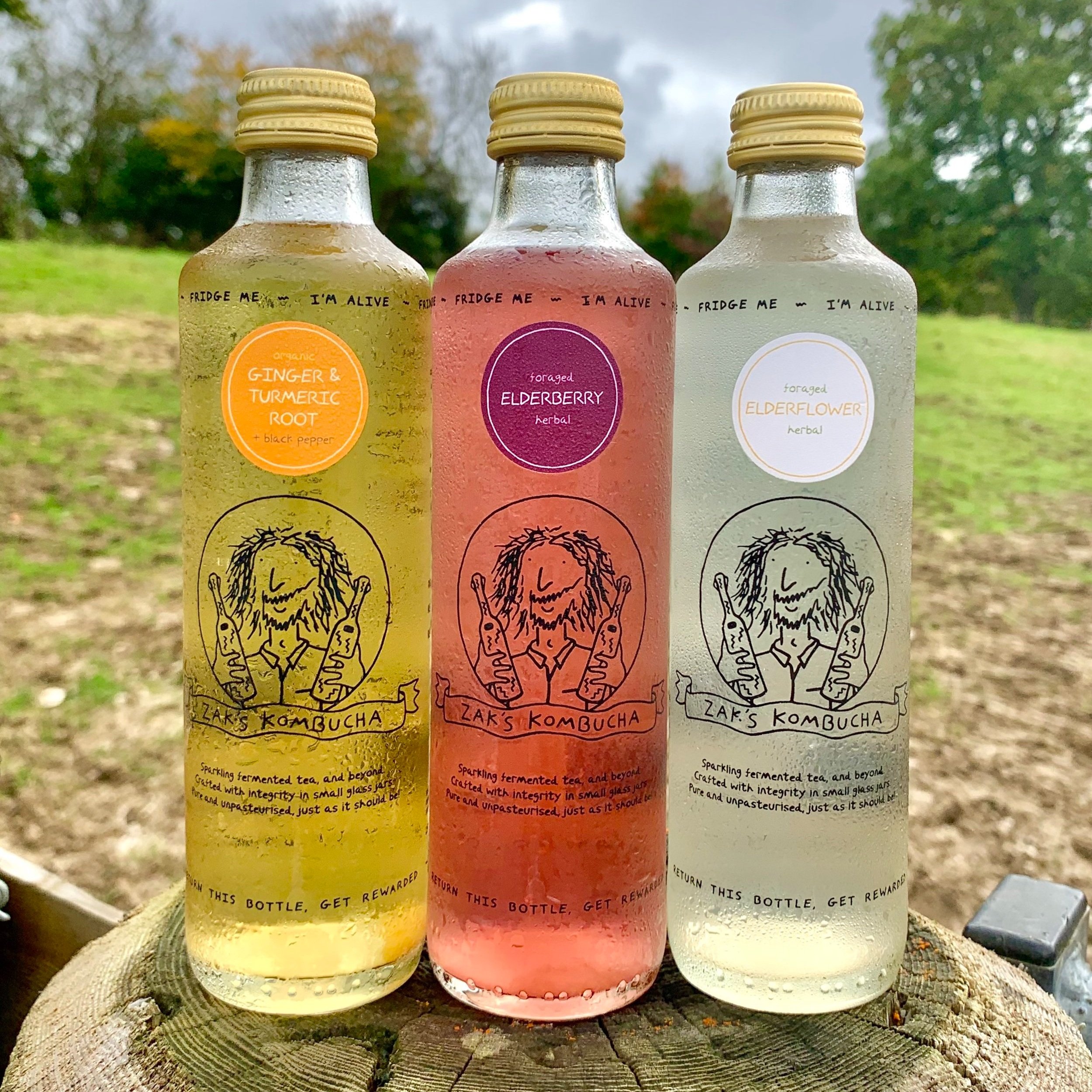 three 250ml screw top branded glass zak's kombucha bottles on top of a wooden post, with a grassy field background. Flavours are elderberry, ginger and tumeric, and elderflower