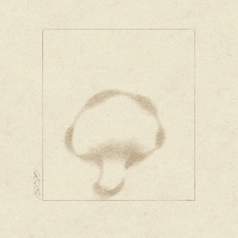 mushroom animation