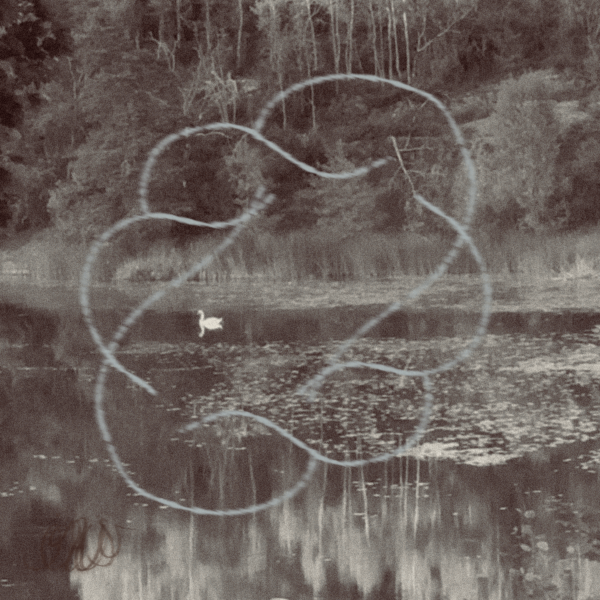 iris wildros animation