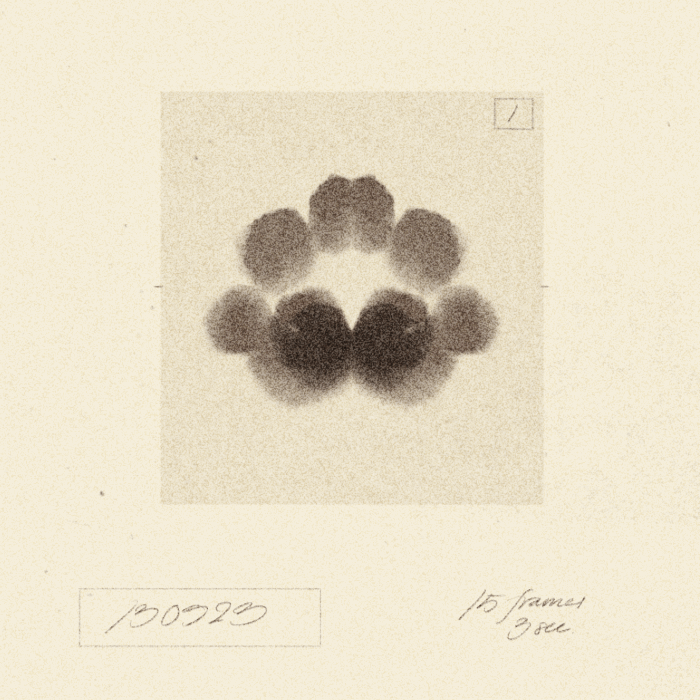 iris wildros rorschach animation