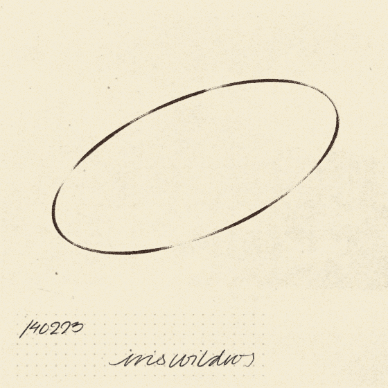 iris wildros loop animation