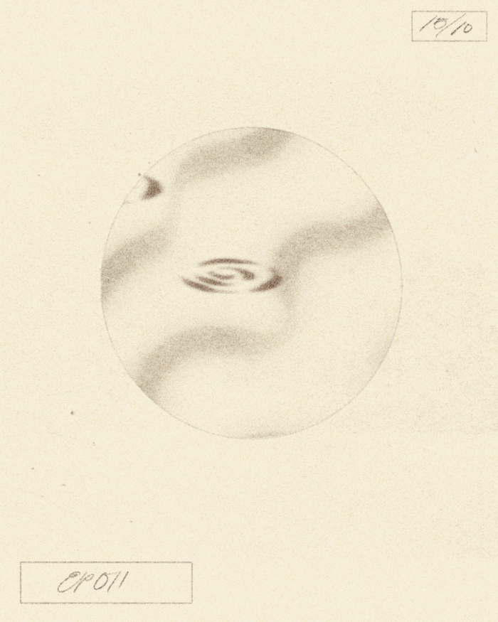 animated album cover