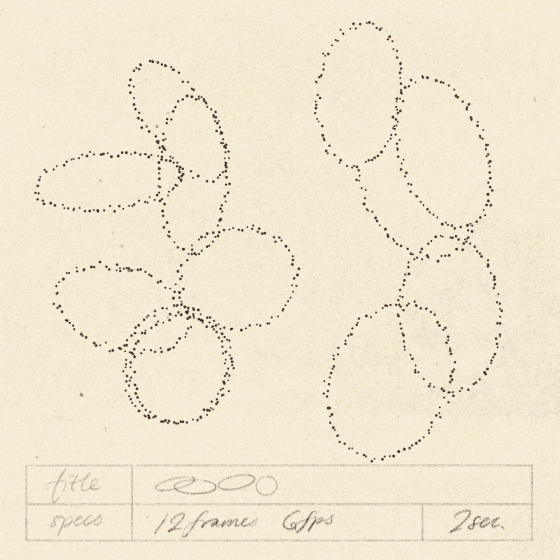 iris wildros dotted line animation