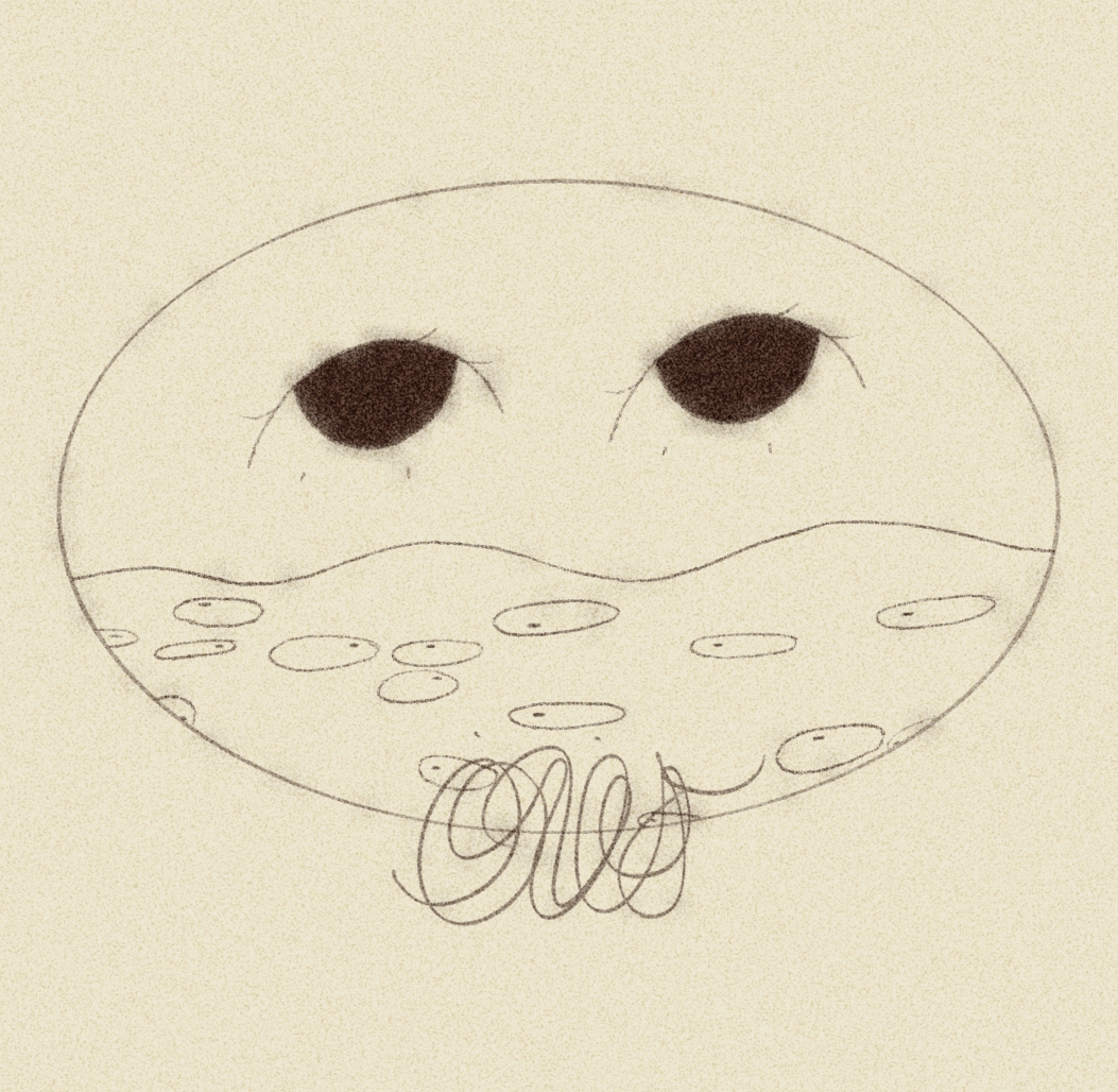 iris wildros animation