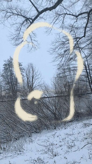 iris wildros winter animation