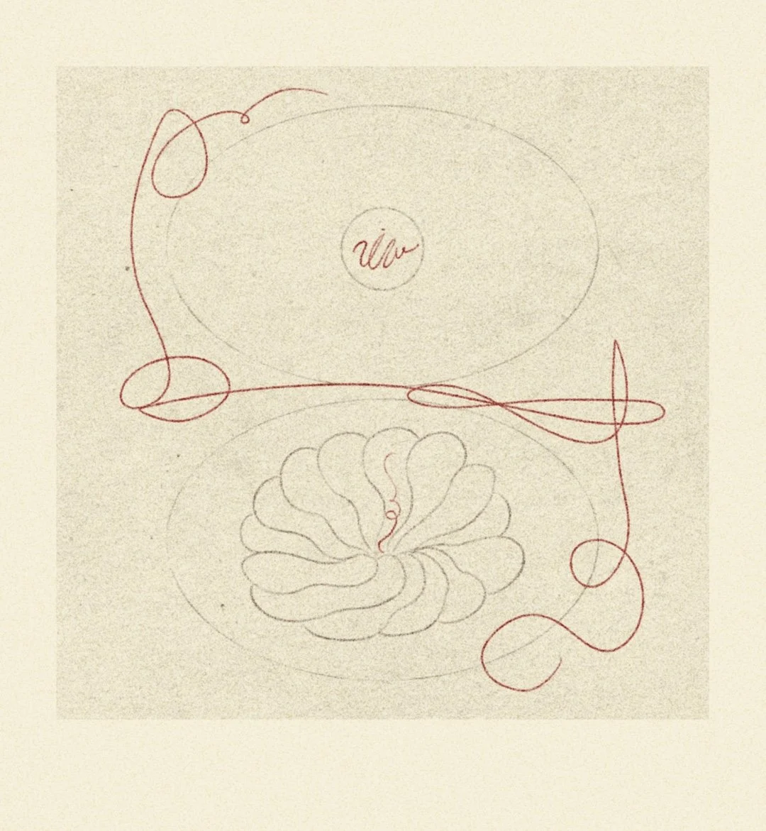 iris wildros illustration