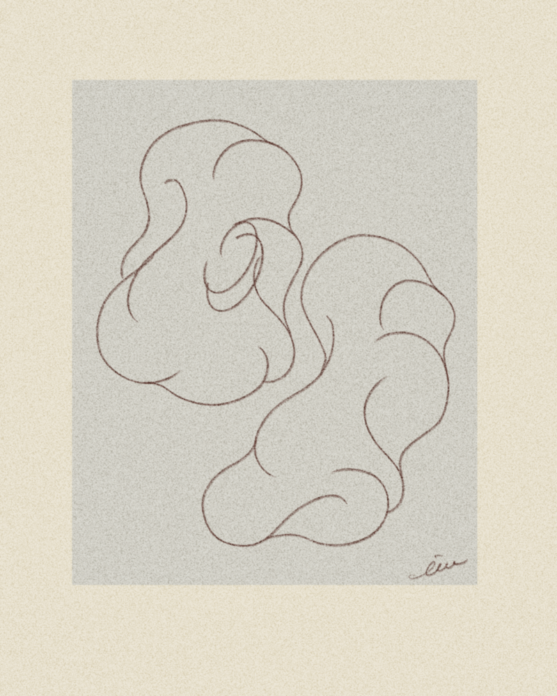 iris wildros animation