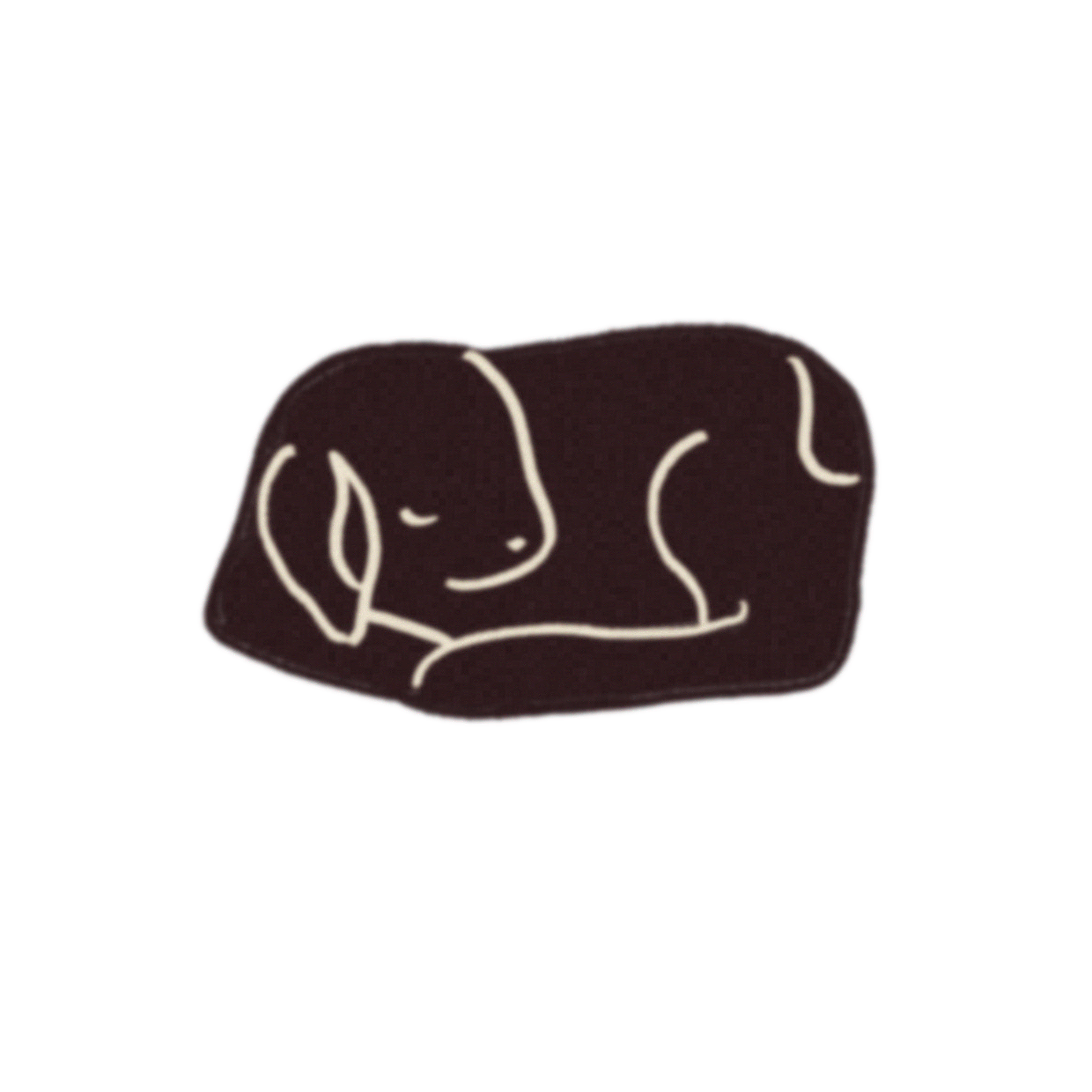 iris wildros illustration