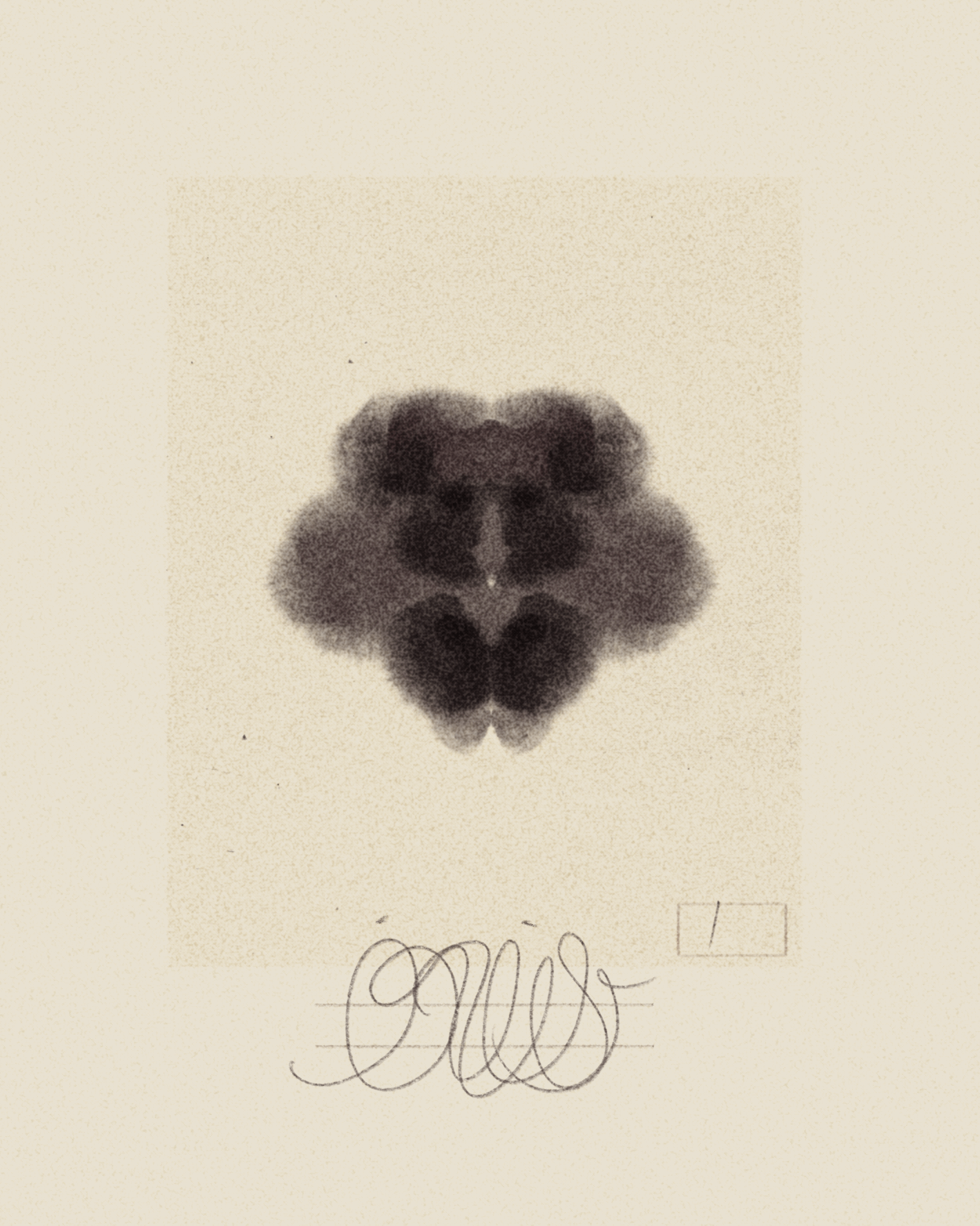 iris wildros animation