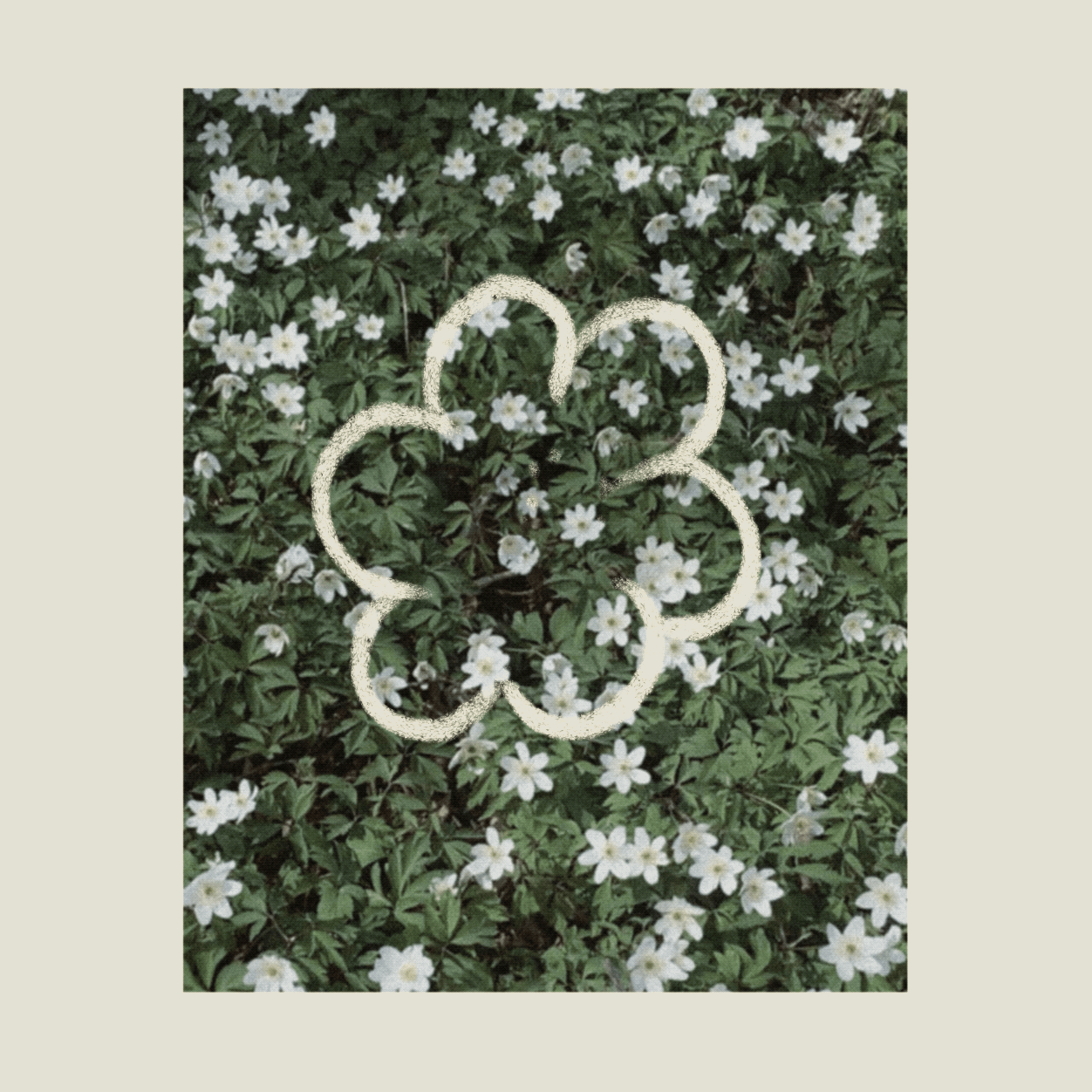 iris wildros animation 