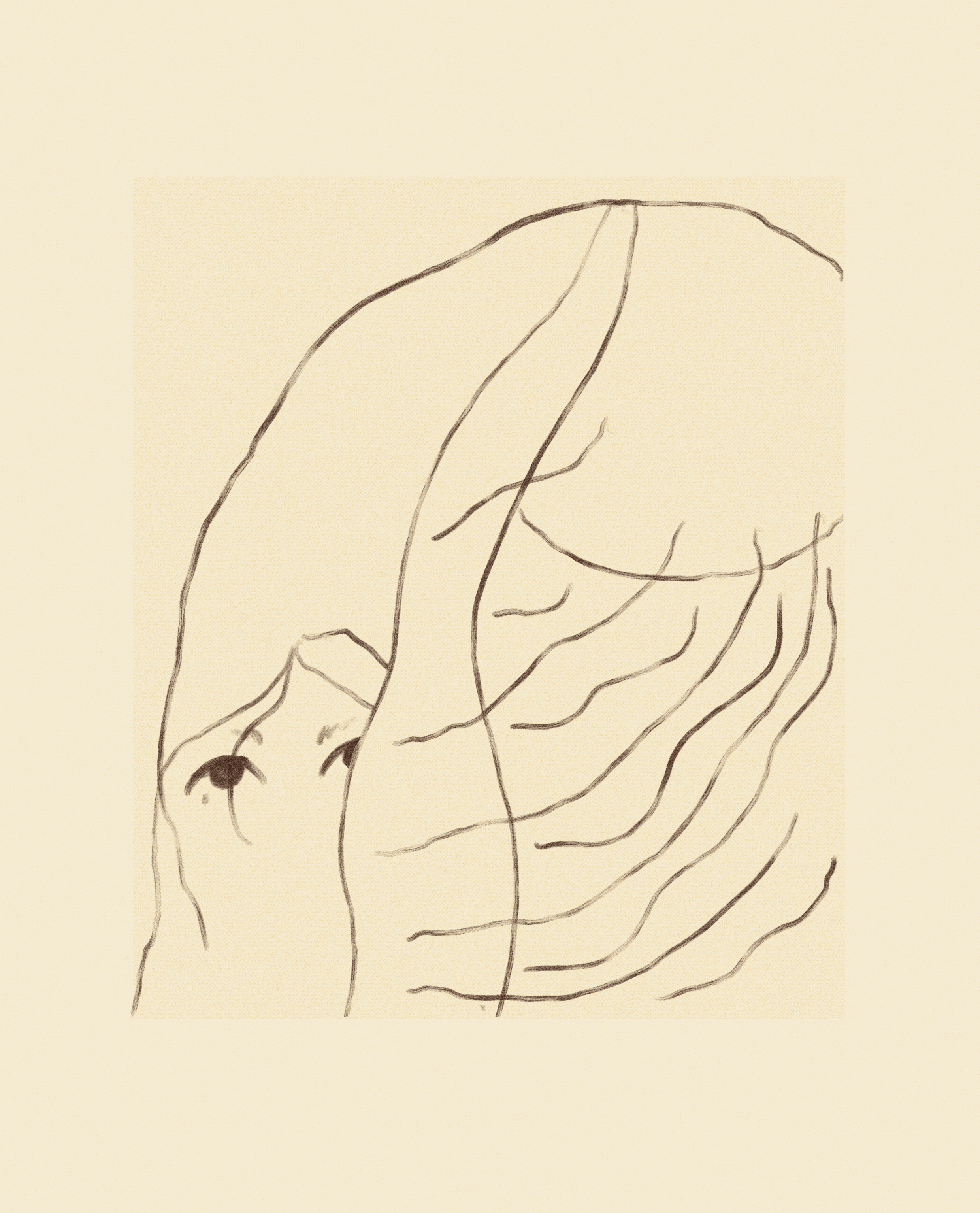 iris wildros animation