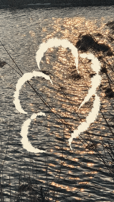 iris wildros visualizer