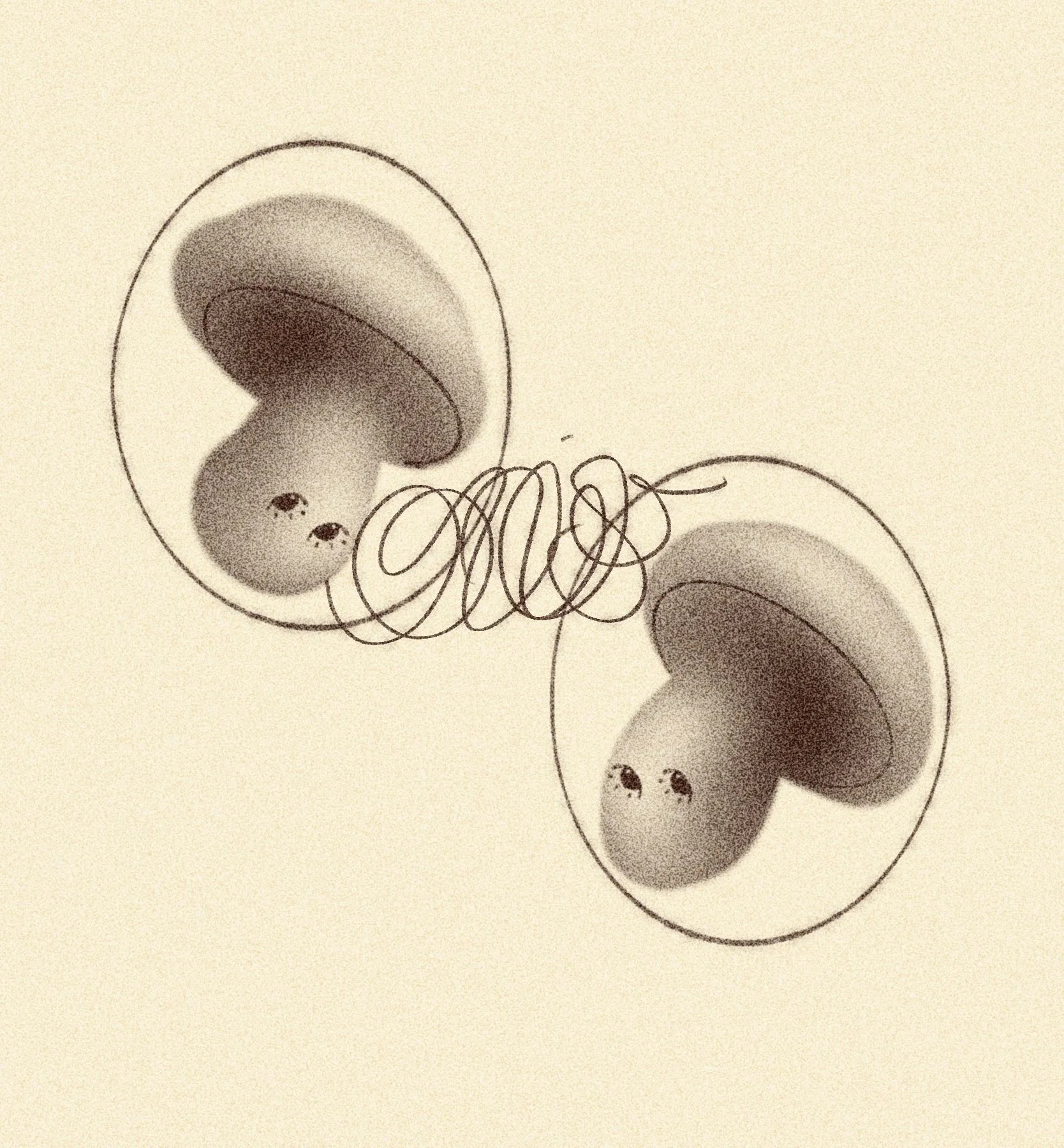 iris wildros mushroom illustration