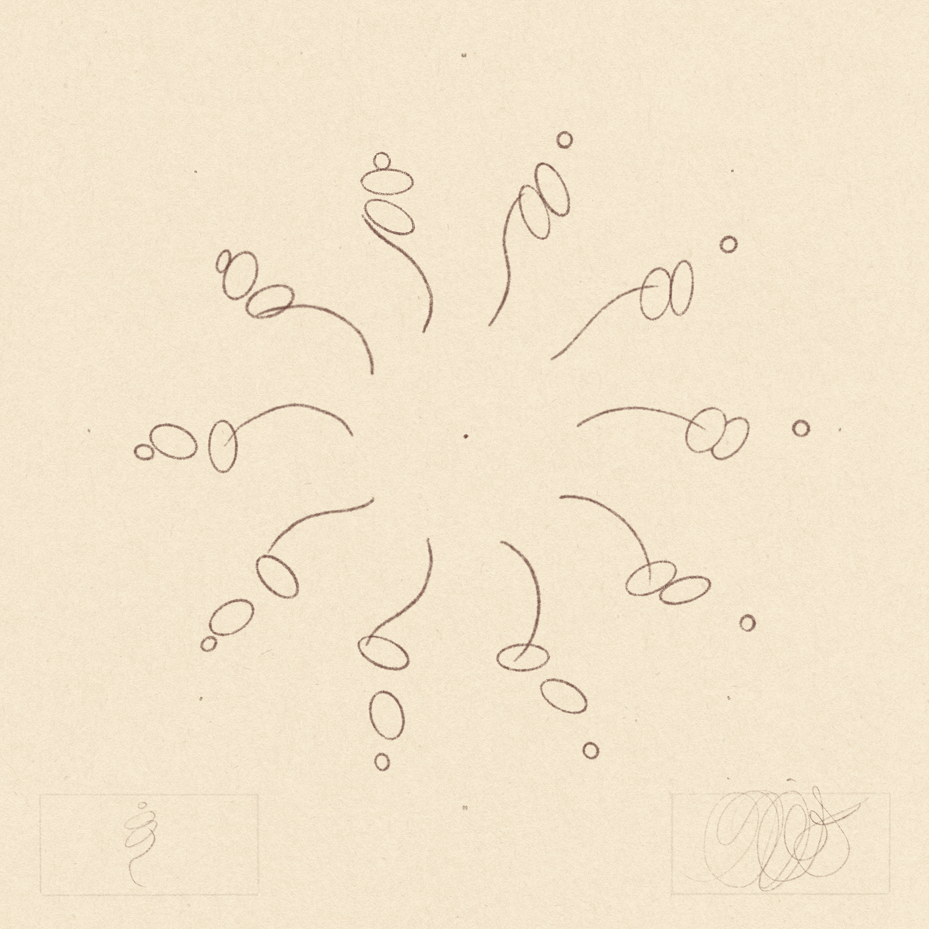 iris wildros phenakistoscope