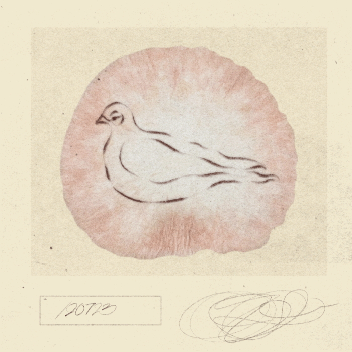 visualizer of pigeon on top of a mushroom