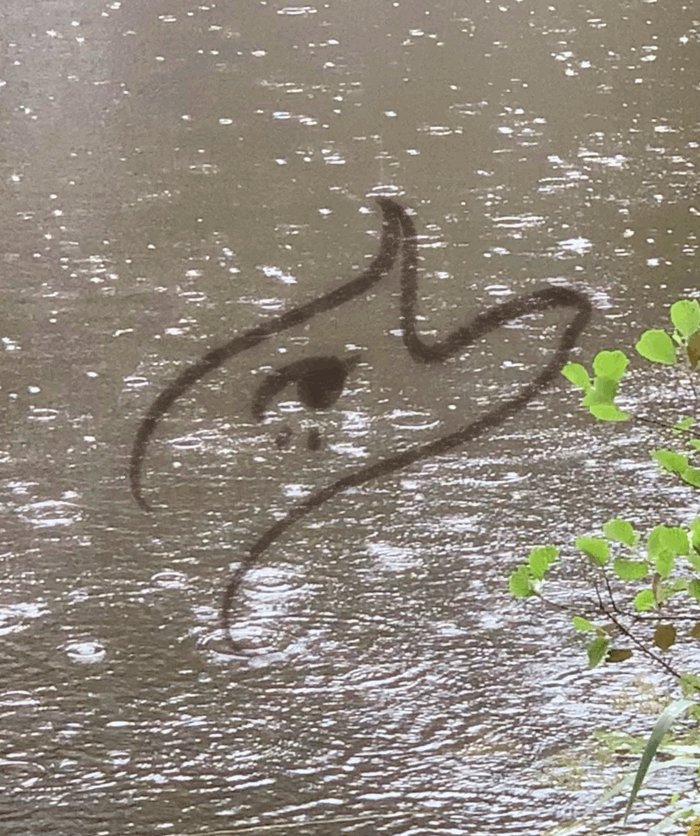 handdrawn visualizer