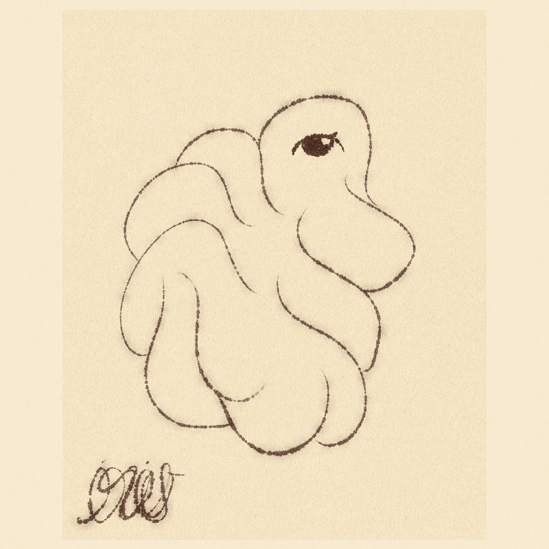 iris wildros animation