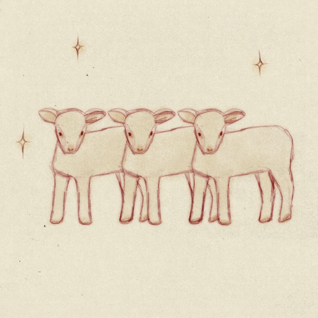 illustratör iris wildros