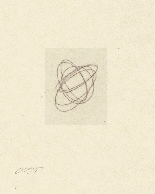 00907 - iris wildros