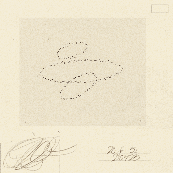 Iris Wildros Animation