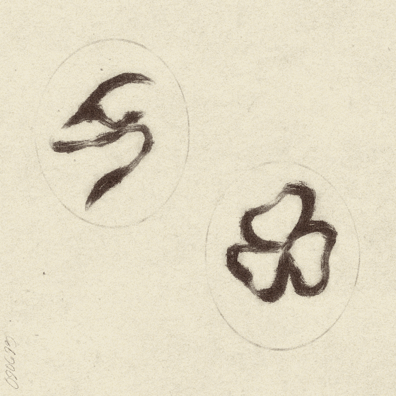 visualizer of swan rabbit and clover