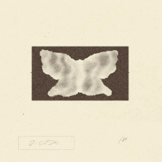 butterfly visualizer