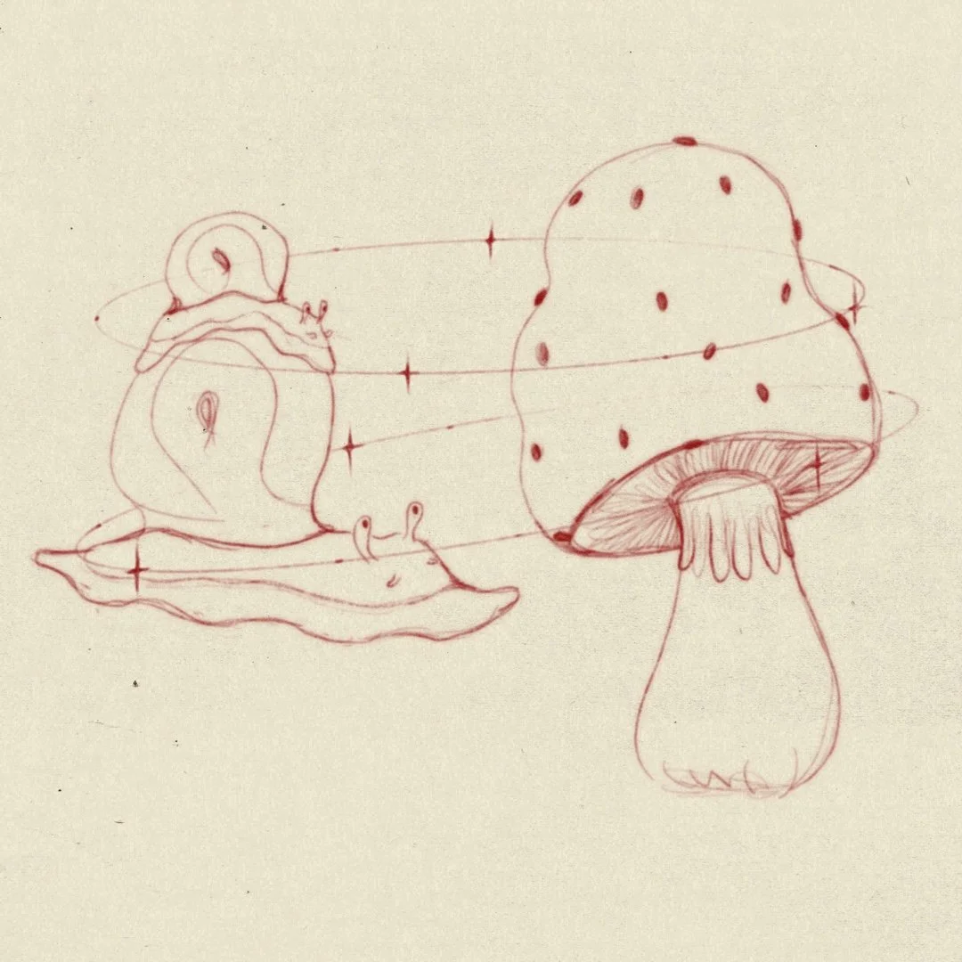 illustratör iris wildros