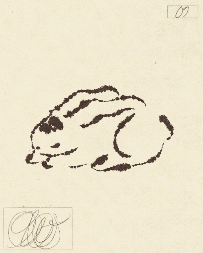 iris wildros rabbit butterfly animation