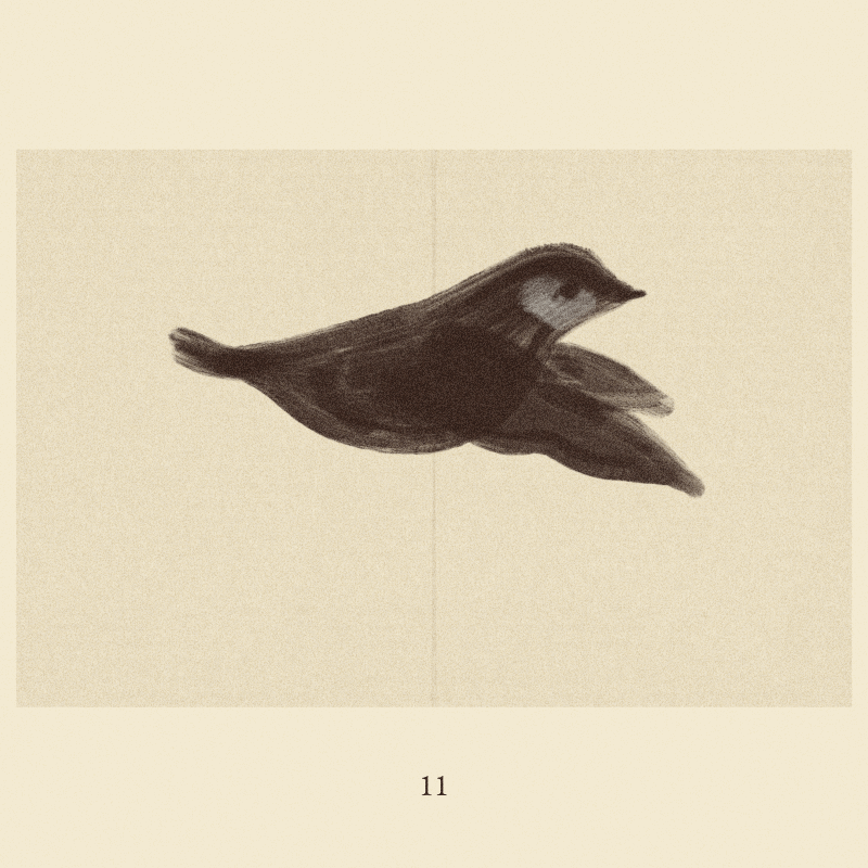 iris wildros frame by frame animation