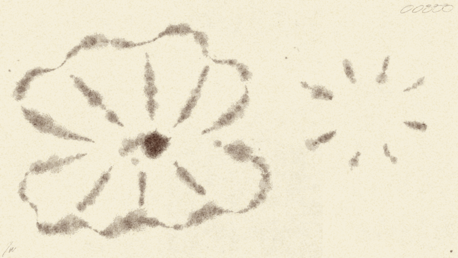 00833 - iris wildros