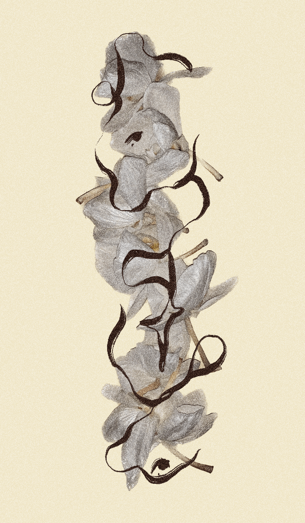 iris wildros orchid animation