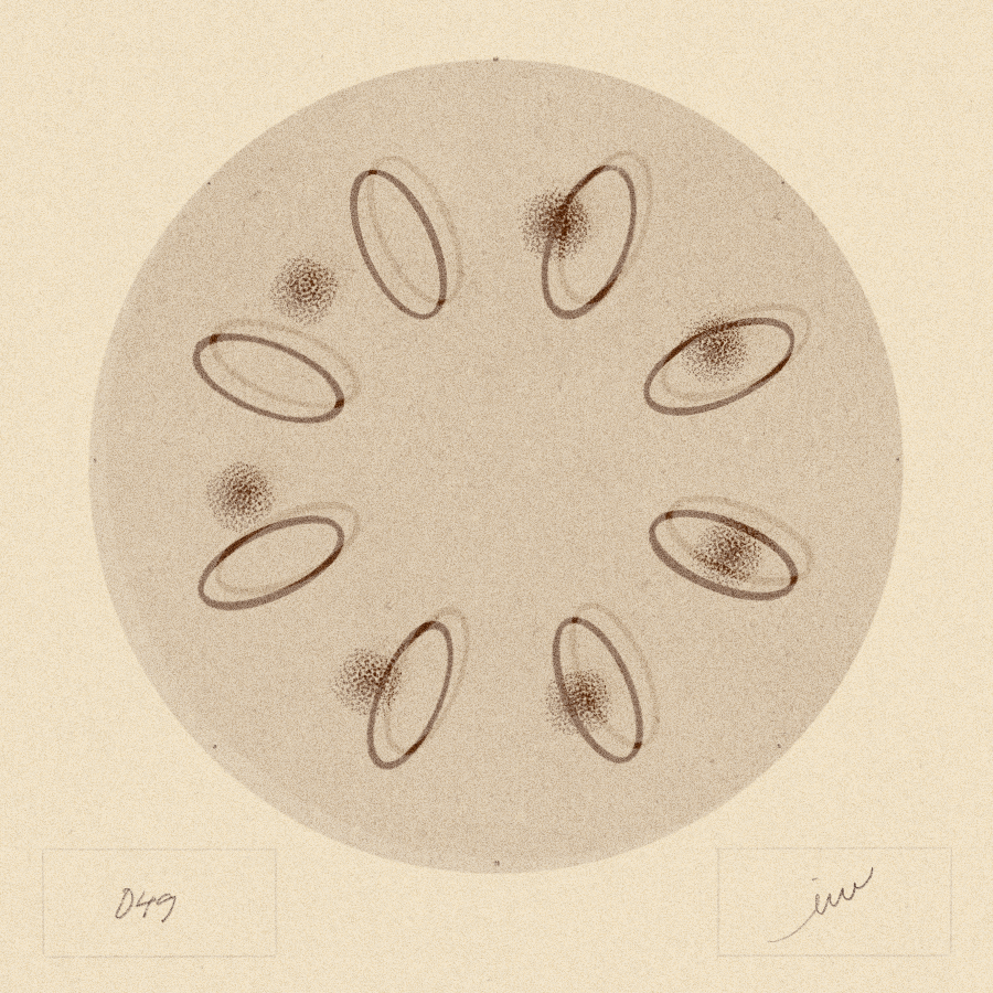 iris wildros phenakistoscope