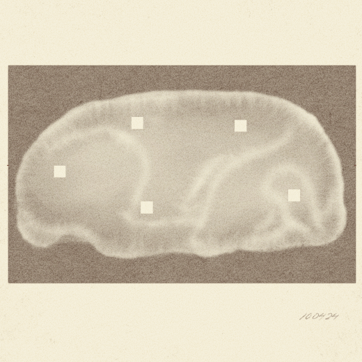 sleeping dog visualizer