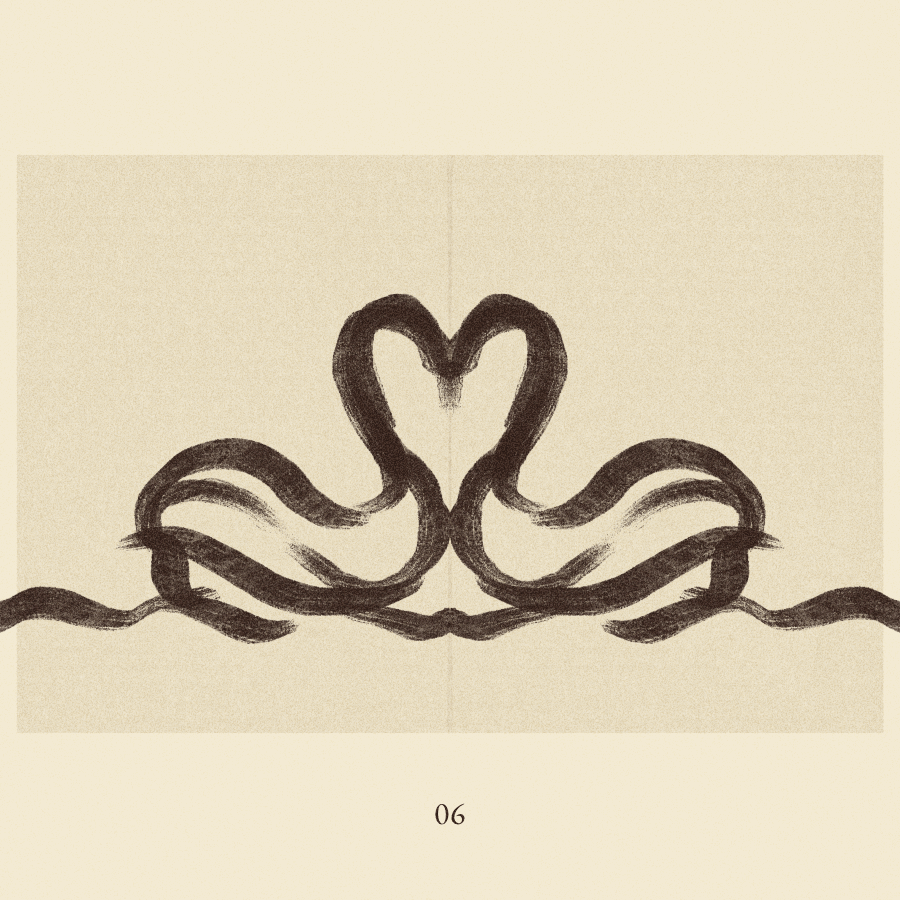 iris wildros motion illustration