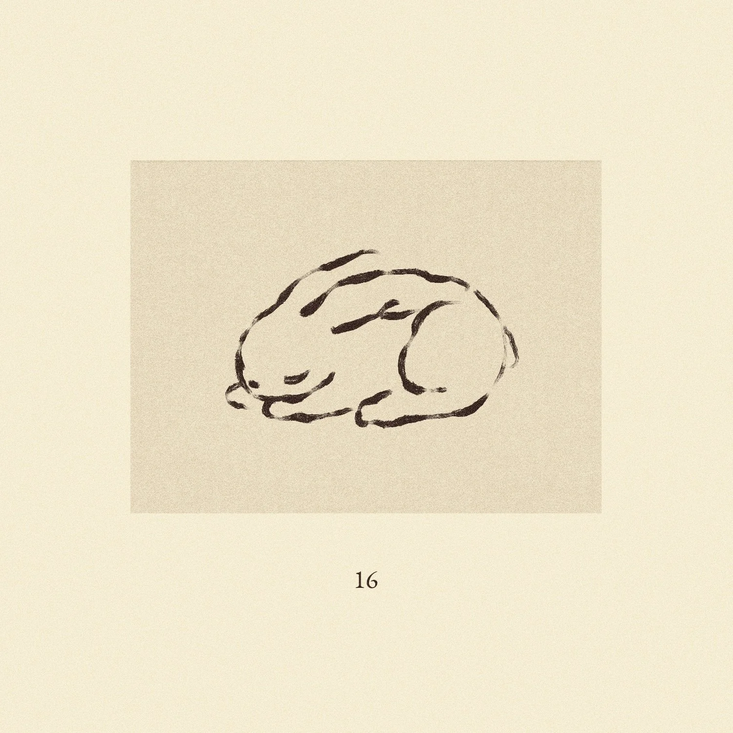 iris wildros illustration