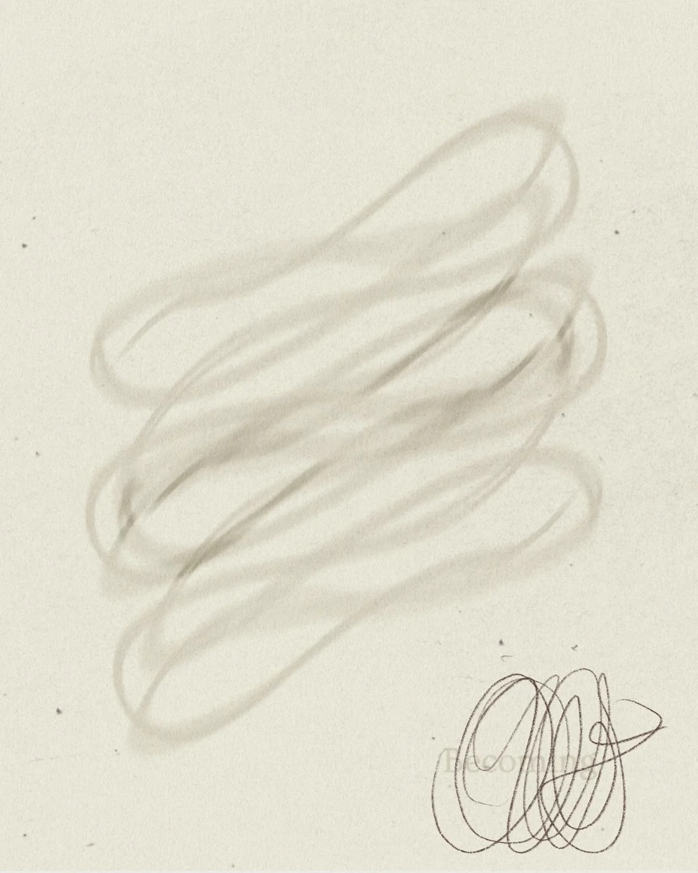 iris wildros illustration