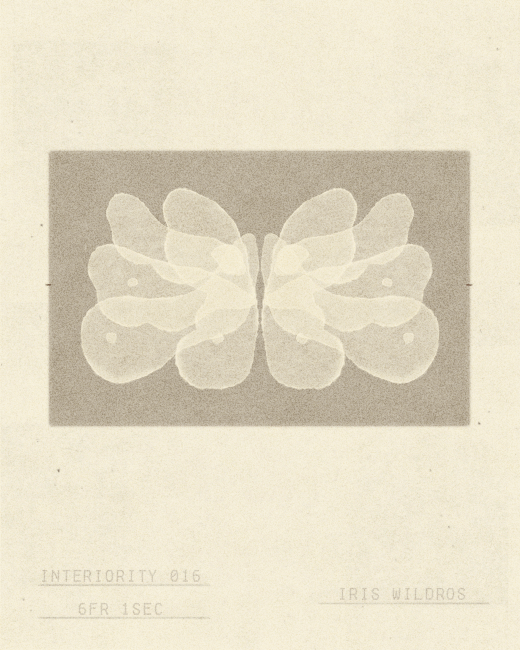 interiority animation iris wildros