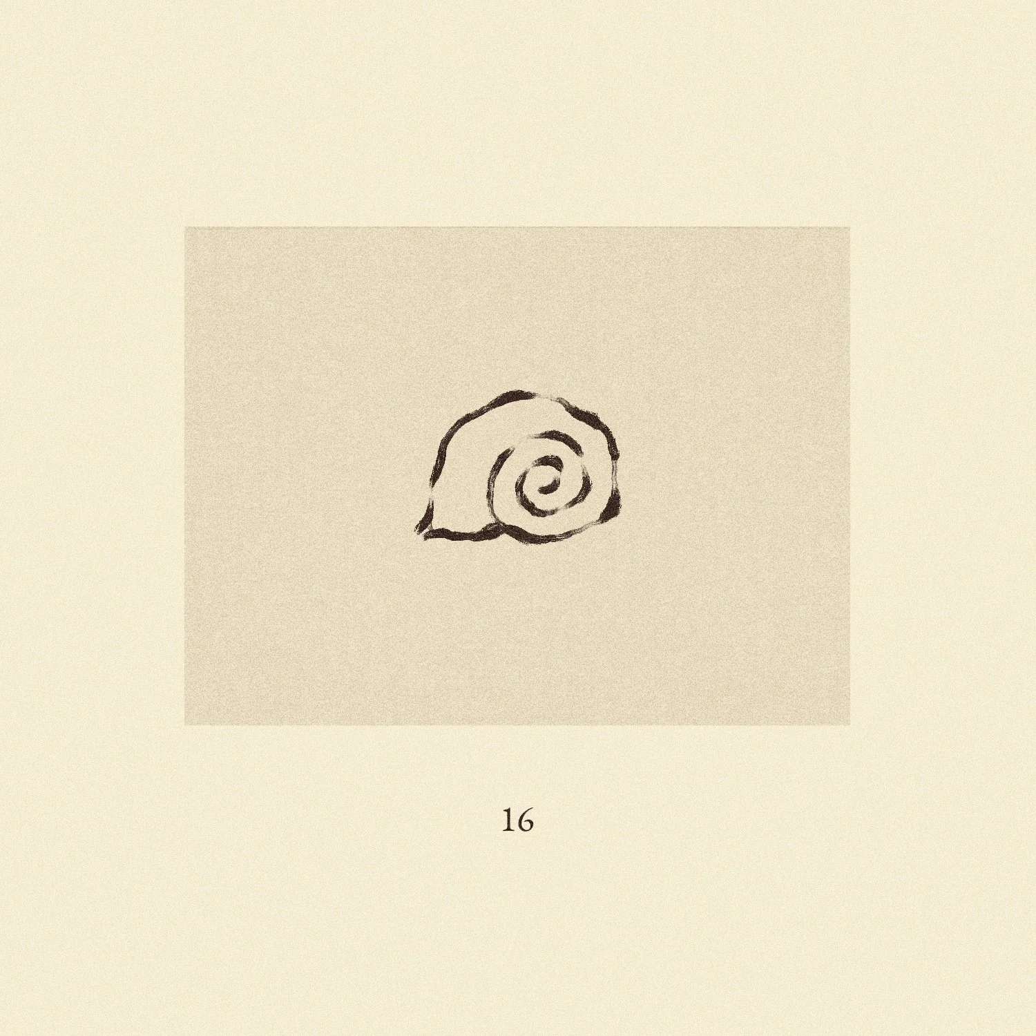 iris wildros shell illustration