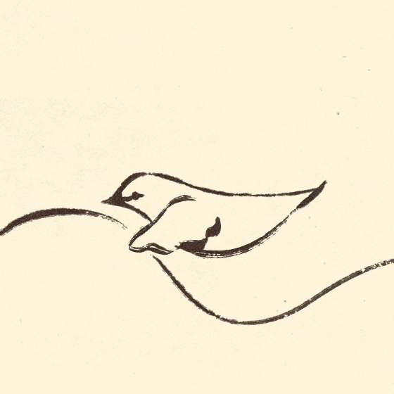 Animated Cover Art for Foxwood