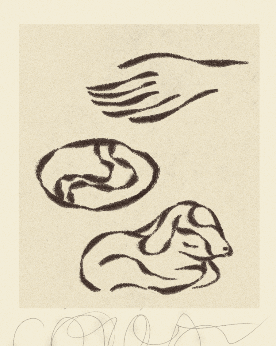 iris wildros animation