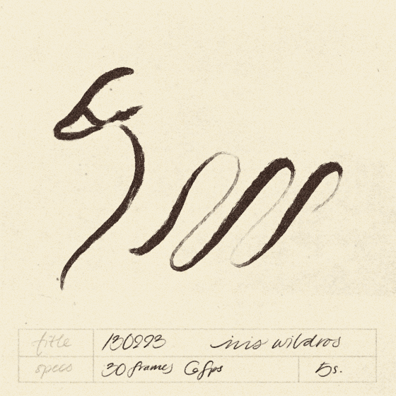 iris wildros album visualizer