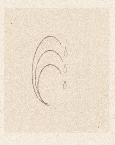 iris wildros frame by frame animation