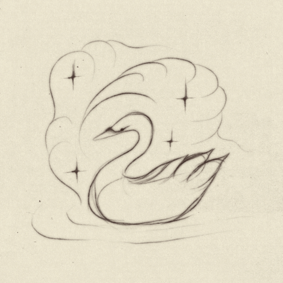 swan illustration