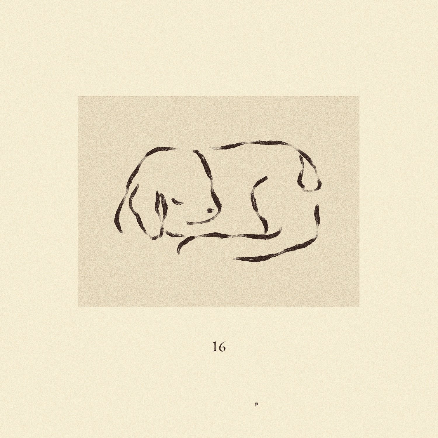 iris wildros illustration