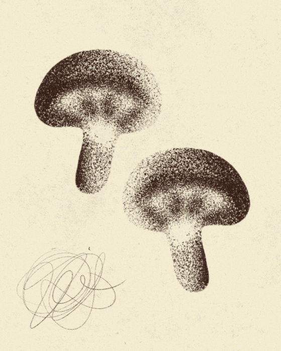 iris wildros mushroom animation