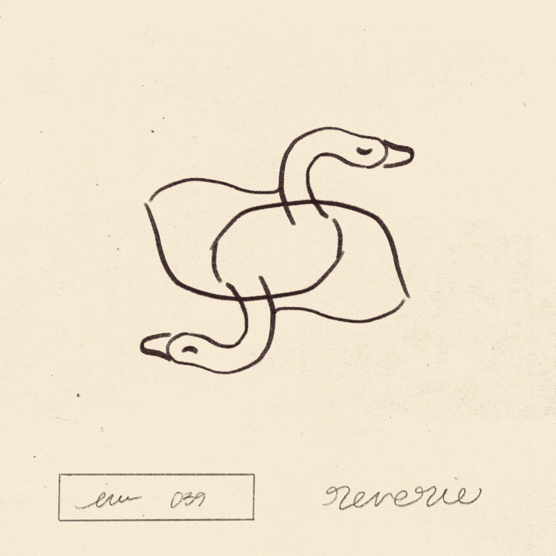 iris wildros animation