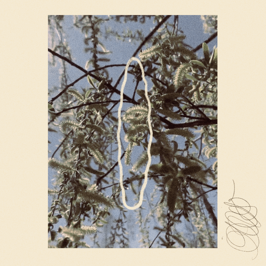 iris wildros motion illustration