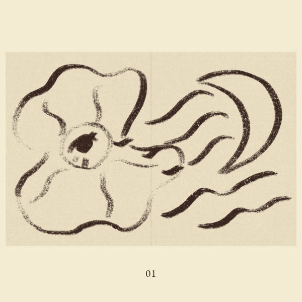 iris wildros animation