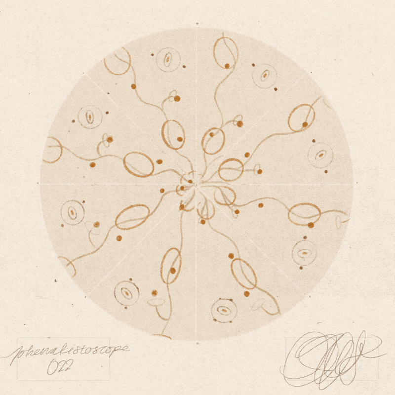 iris wildros phenakistoscope animation